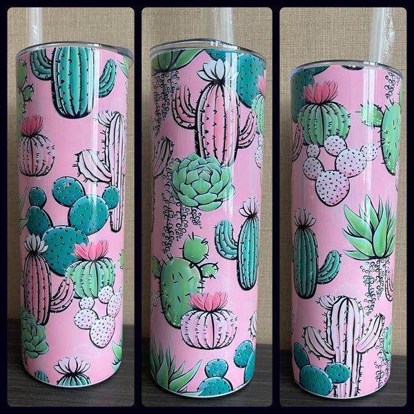 Pink cactus